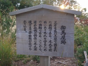 CIMG0791
