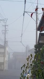 20161205_080308