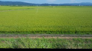 20180804_153509